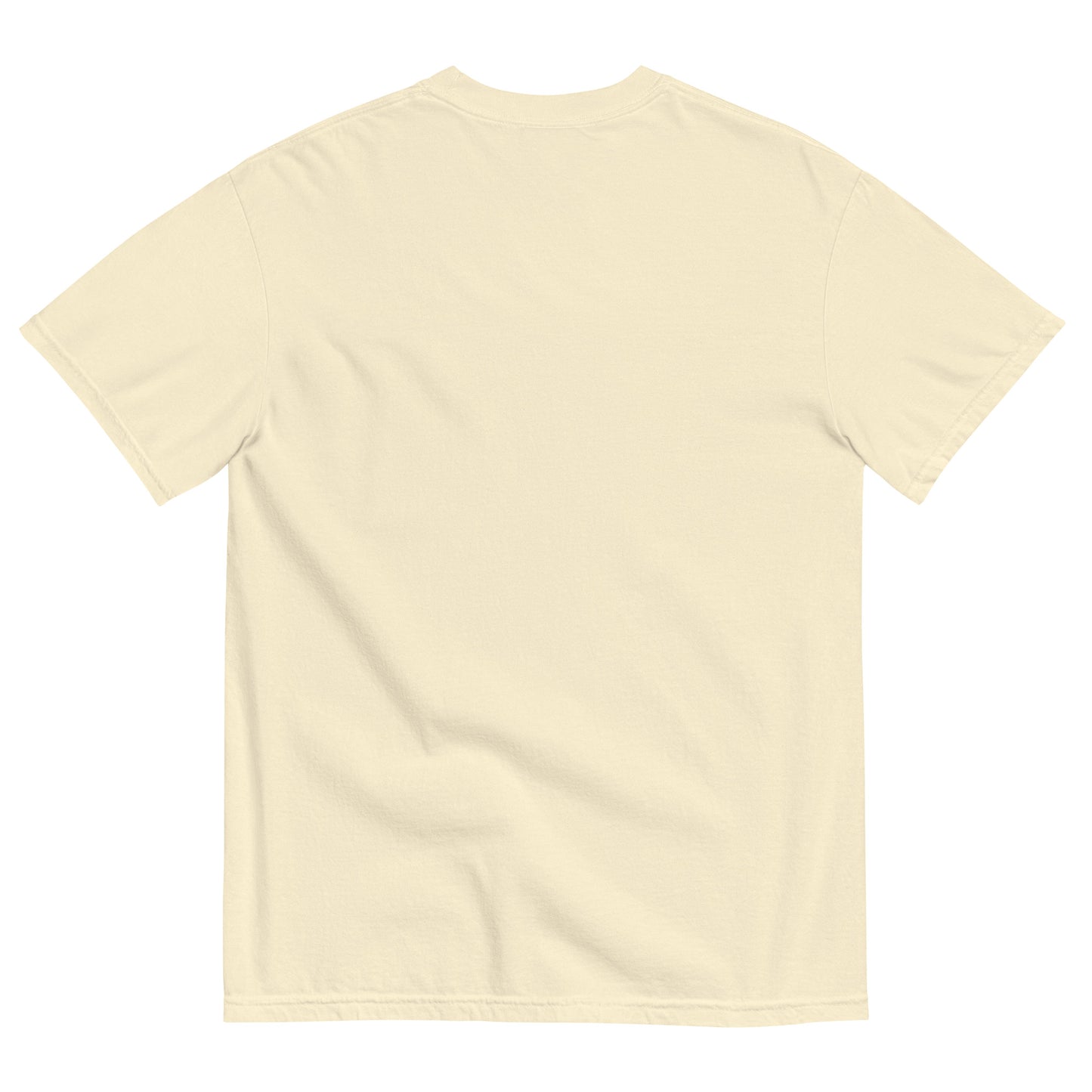 Modern Saints Eras Tee  |  Comfort Colors