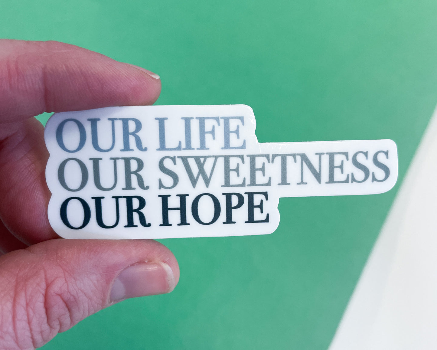 Our Life, Our Sweetness, Our Hope  |  Sticker